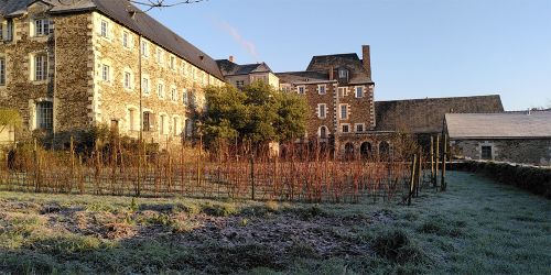 Monastère soleil hiver_janv 2025.jpg
