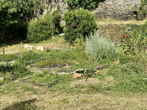 jardin aromatique.jpg