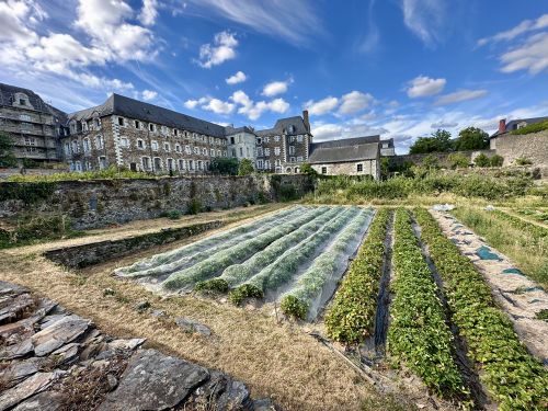 jardin et batiment.jpg