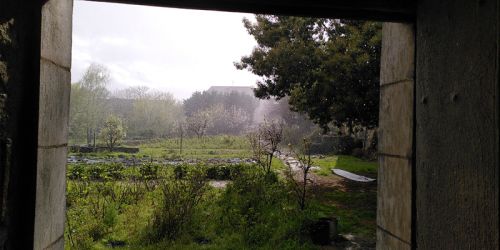 jardin par porte petit matin brume.jpg